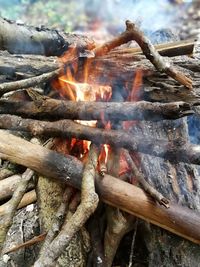 Close-up of firewood
