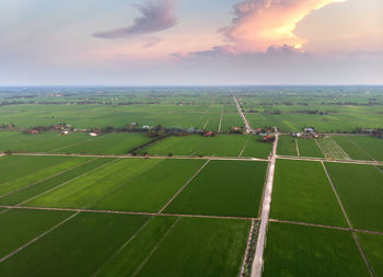 Scenic view of agricultural field against sky during sunset