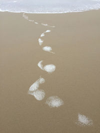 High angle view of footprints on sand at beach