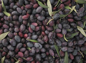 Full frame shot of fruits