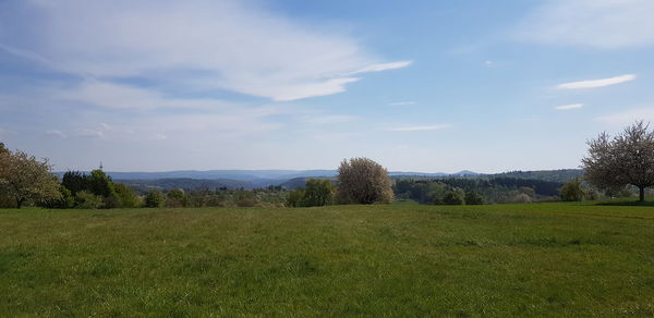 Scenic view of field against sky