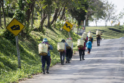 Rear view of people walking on road