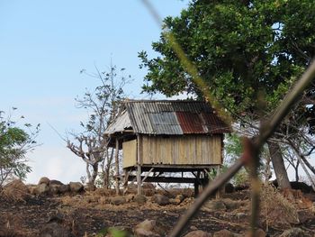 Abandoned house amidst trees on field against sky