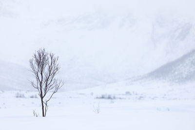 Snow covered field against sky