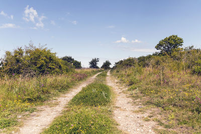 Dirt road amidst field against sky