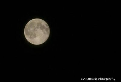 Low angle view of moon in sky