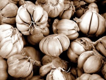 Full frame shot of onions for sale at market stall