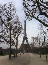 Bare trees in park