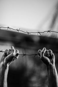 Close-up of hand holding barbed wire