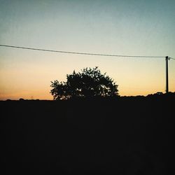 Silhouette of trees at sunset