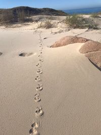 Footprints on sand at beach