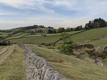 Hilly pastures