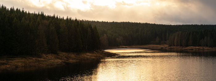 Panoramic shot of river amidst trees in forest against sky