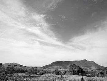 Scenic view of landscape against sky
