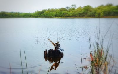 Scenic view of lake against sky