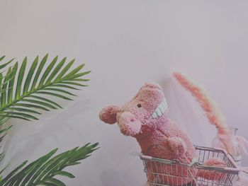 Close-up of stuffed toy in shopping cart against wall