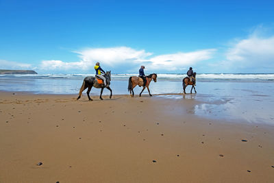 Horses riding horse on beach