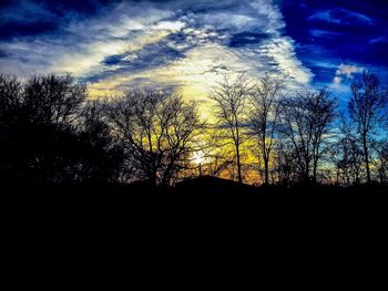 Silhouette of trees at sunset