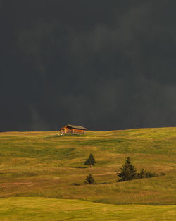 Scenic view of grassy field against sky