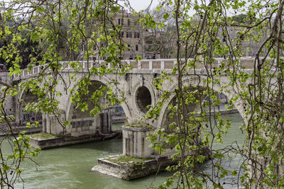 View of river with trees in background