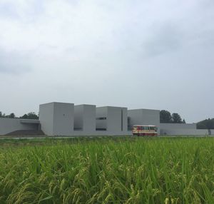 View of agricultural field