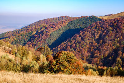 Hills in the fall season, fantanele village, sibiu county, romania