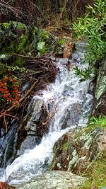Stream flowing through rocks in forest