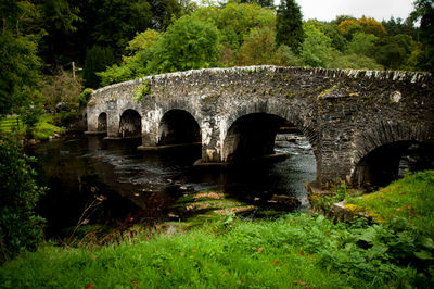 Arch bridge over river against trees