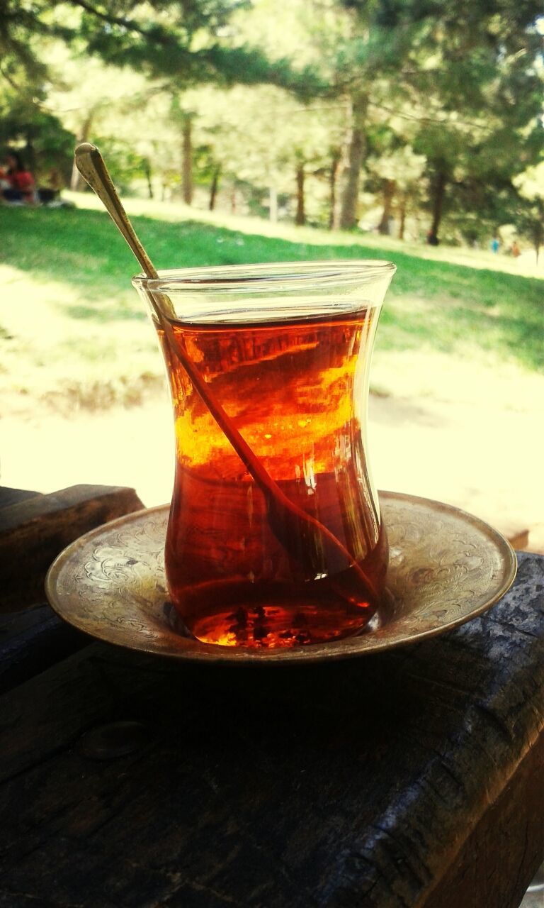 table, focus on foreground, close-up, drink, tree, still life, food and drink, refreshment, wood - material, drinking glass, absence, wooden, no people, outdoors, freshness, day, empty, glass - material, sunlight, selective focus