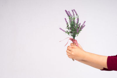 Close-up of hand holding bouquet against white background