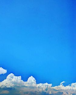 Low angle view of tree against blue sky