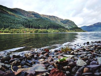 Scenic view of calm lake