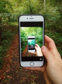 Cropped image of woman photographing through smart phone