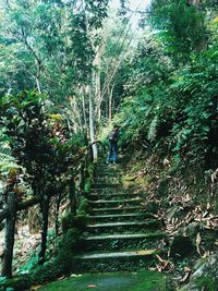 View of people in forest