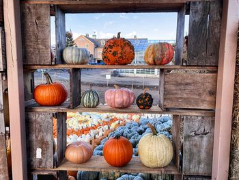 View of pumpkins in market during autumn