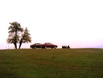 Trees on grassy field against clear sky