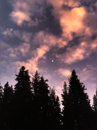 Low angle view of silhouette trees against sky during sunset