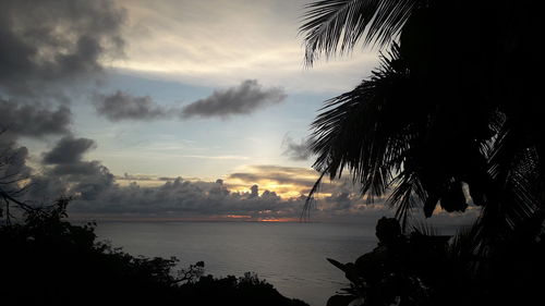 Silhouette palm trees by sea against sky during sunset