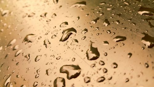 Close-up of drops on sand