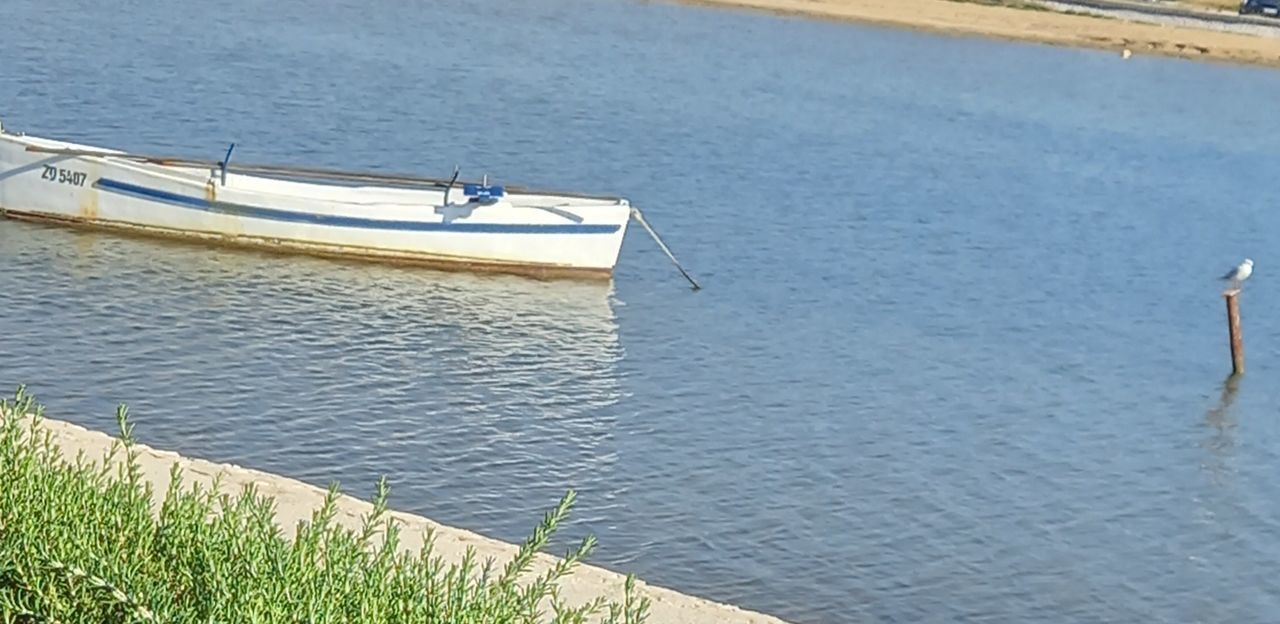 water, nautical vessel, transportation, mode of transportation, boat, day, nature, vehicle, shore, no people, high angle view, sea, tranquility, beauty in nature, ship, outdoors, plant, moored, travel, grass, tranquil scene, watercraft, waterway, beach, reservoir, coast, scenics - nature, channel