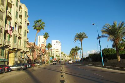 City street by palm trees against clear sky