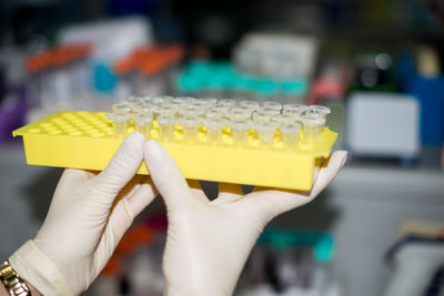 Cropped hands of scientist holding vial rack at lab