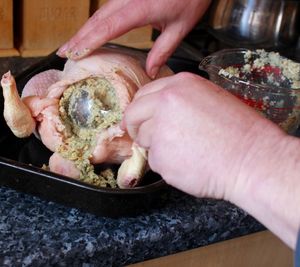 Close-up of hand holding fish