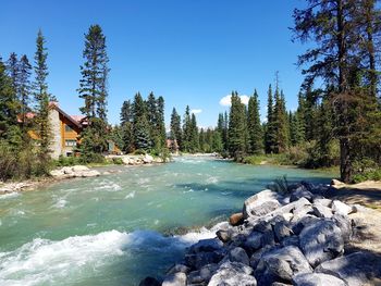 Scenic view of waterfall in forest against clear blue sky