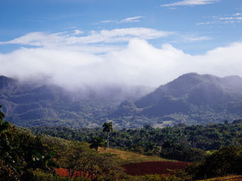 Scenic view of landscape against sky