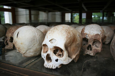 Skulls of the victimes of the khmer rouge inside a memorial at the killing fields near phnom penh