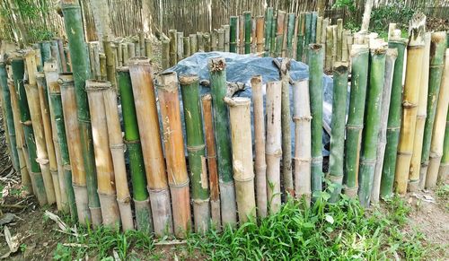 Wooden fence on field