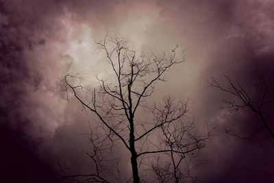 Low angle view of bare tree against cloudy sky