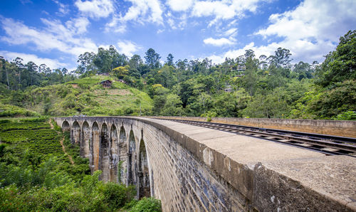 Arch bridge in forest against sky