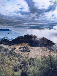 Scenic view of landscape against sky